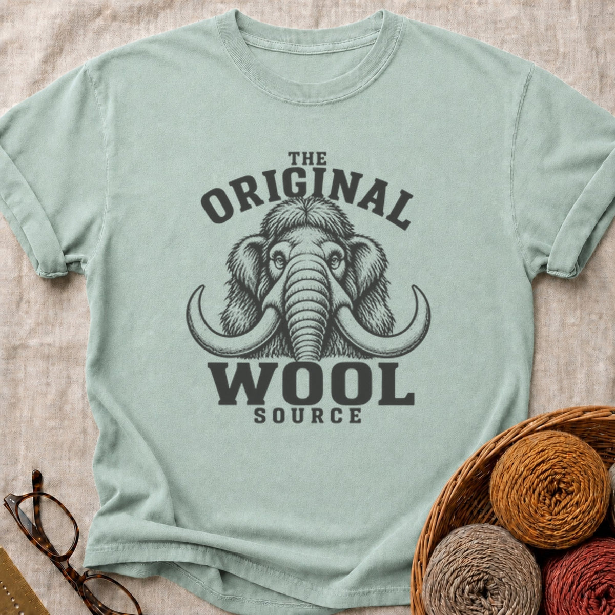 Woolly T-Shirt in Bay