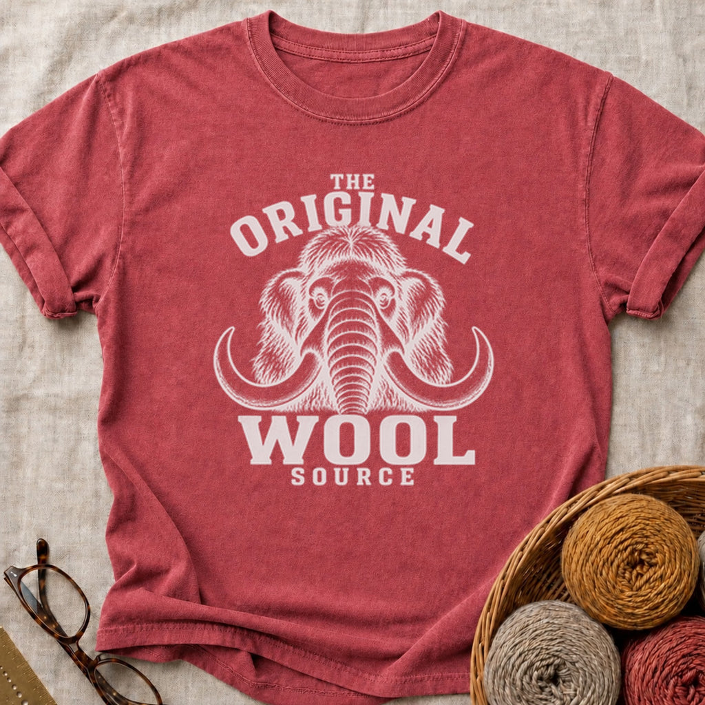 Woolly T-Shirt in Brick