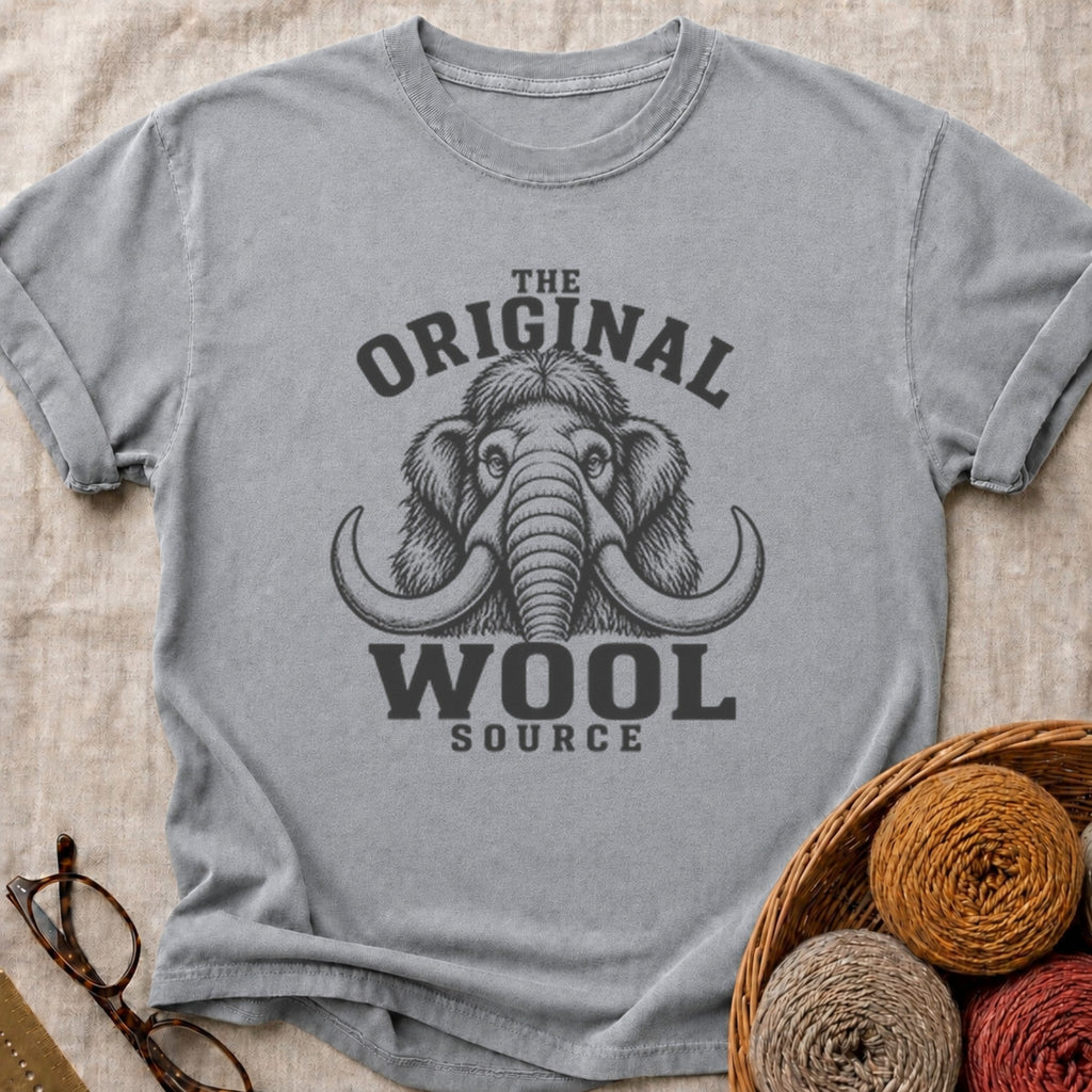 Woolly T-Shirt in Grey